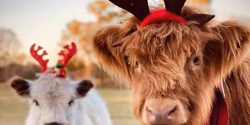 Electric Beef @ Jackie B's