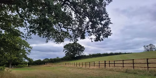 Hedge Planting at North Wick Farm