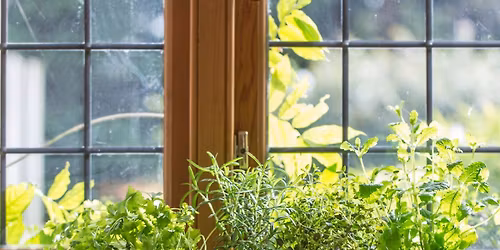 Herb Growing Workshop