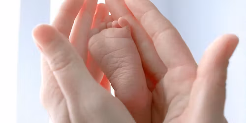 Movies at the Museum: Terrence Malick's 'The Tree of Life' (2011)