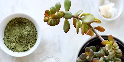 Matcha & Masks Class 