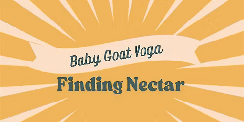 Baby Goat Yoga