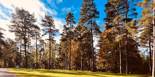 Cannock Chase Food Festival