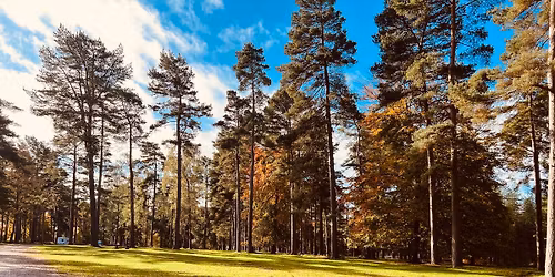 Cannock Chase Food Festival