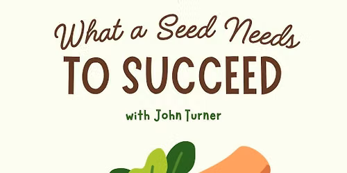 What a Seed Needs to Succeed