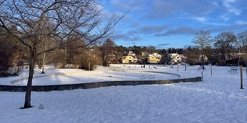 OTF Julgransplundring - NY AKTIVITET