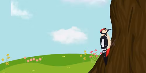 Birding Walks with Master Naturalist Lily Glaeser & Indigo Nathani - Green Earth Brush Hill Nature P