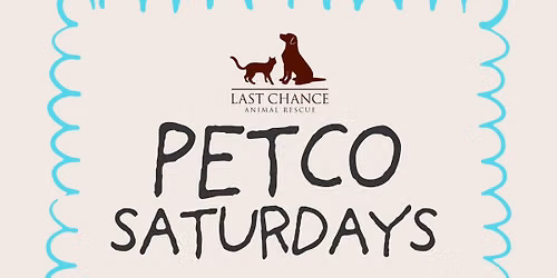 Adoption Day at Petco Patchogue
