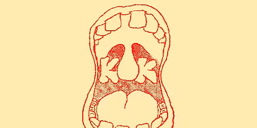 N\u00fd\u00e1rsheit KOK \u00ed N\u00fdl\u00f3 \/ KOK\u2019s New Year\u2019s Wishes at N\u00fdl\u00f3