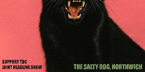 THE BENDERS &amp; BLOODY BENDERS JOINT HEADLINE