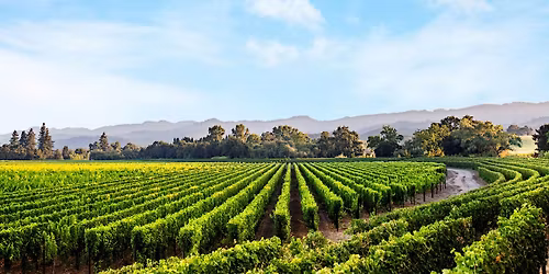 Chart House - Caymus Wine Dinner - Newport