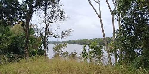 Burnett Downs walk - Easy S2b
