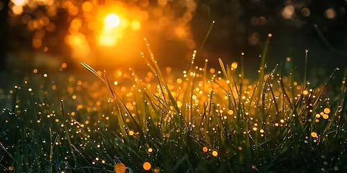 Dance it Out in the Park