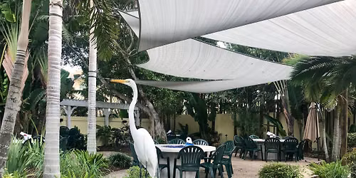 Pop's Sunset Grill - Courtyard
