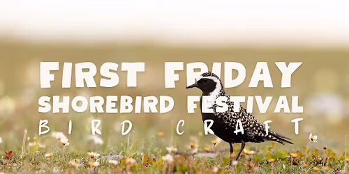 First Friday Shorebird Festival Bird Craft