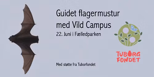 Flagermustur med Vild Campus 