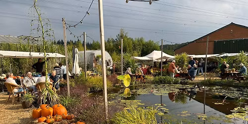 Herfstoogst & Pompoendagen bij Bandus in Hummelo