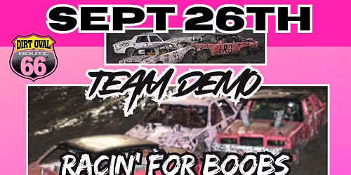 TEAM DEMOLITION DERBY