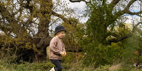 WILDFAMILIES Woodland Adventures at The Wolseley Centre