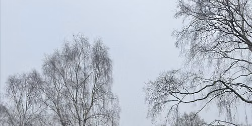 Guided Tree & Seed Walk at Moor Pond Wood