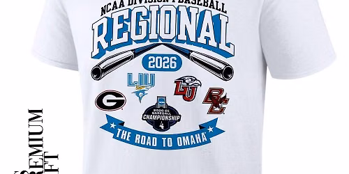 Georgia Bulldogs vs. Boston College Eagles