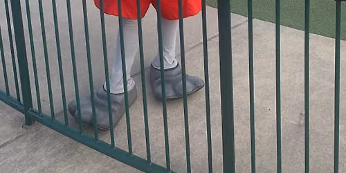 Great Lakes Loons Game Meet-and-Greet