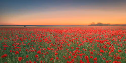 MBSR und  Breathwork Schnupperworkshop