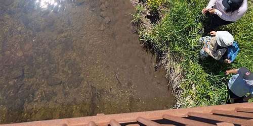 Homeschool Program at Claireville: Creek Crawlers