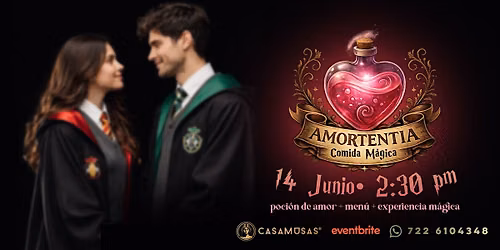 AMORTENTIA | La poci\u00f3n del amor