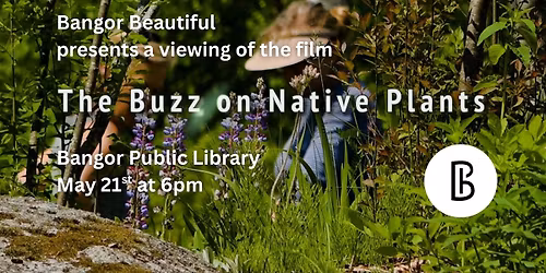 The Buzz About Native Plants
