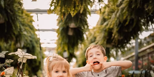 Varner's Spring Greenhouse Minis