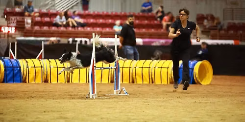 Sarah Westcott Agility Seminar