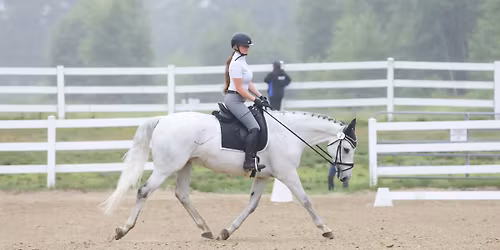 EDUCATIONAL DRESSAGE SCHOOLING SHOW