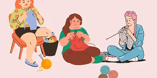 Yhteisneulonta, Neulelanit Pori