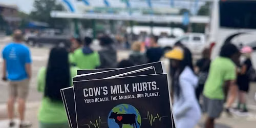 MN State Fair Eat & Act - Volunteer Opportunity