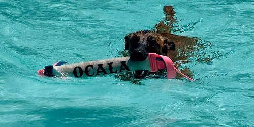 IDS ODR June Splash