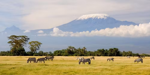 14 Days : Hiking worlds 4th tallest mountain "Kilimanjaro" , Tanzania Safari