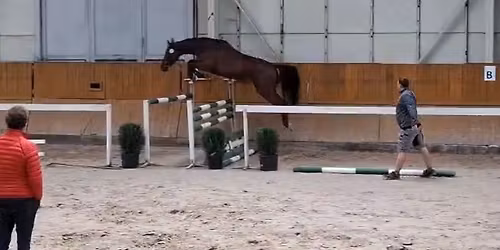 Skok ve volnosti s Ing. Markem Zbo\u0159ilem