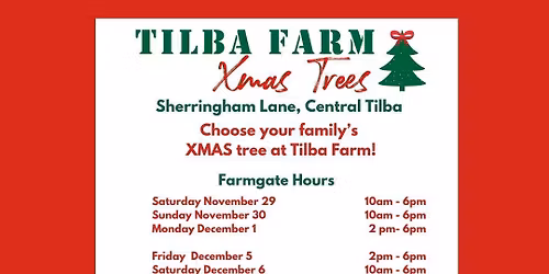 Tilba Farm Xmas Trees 2025 Opening Day
