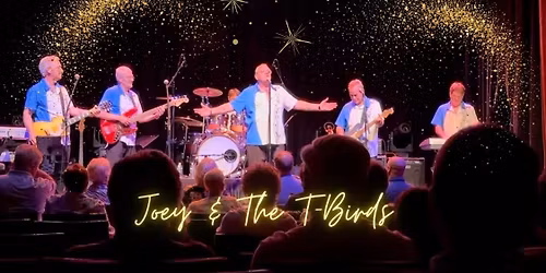 Joey and the TBirds at Pocono Twp. 