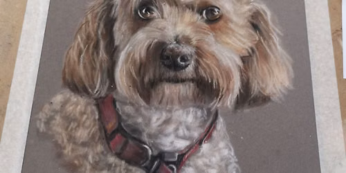 In Person Pet Portrait Workshop (DOG)