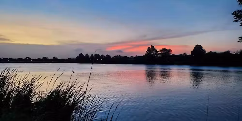 \ud83c\udf05 \ud83d\udeb6\u200d\u2642\ufe0fEvening walk at Woodlawn Lake Park\ud83e\udd86\ud83c\udf33