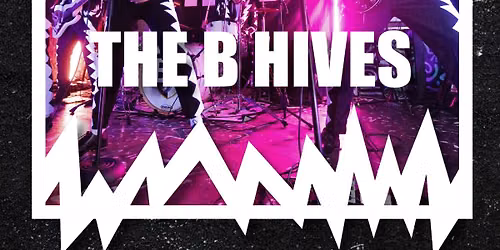 The B Hives \/\/ Polar Bear Music Club, Hull