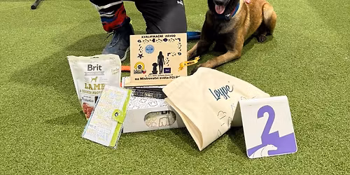 Tr\u00e9nink Obedience s Richardem Pechem + Rally Obedience s Evou Luke\u0161ovou