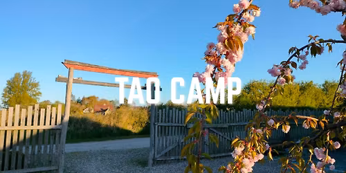 Tao Camp - Dansk version af `Shaolin`