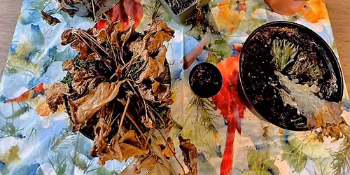 The Black Friday Dead Plant Exchange 