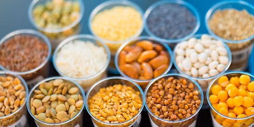 Dirty Diggers: Saving Seeds