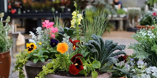 Winter Container Workshop