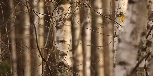 Spacer #1 - Niepodleg\u0142y Dziki Bia\u0142ystok