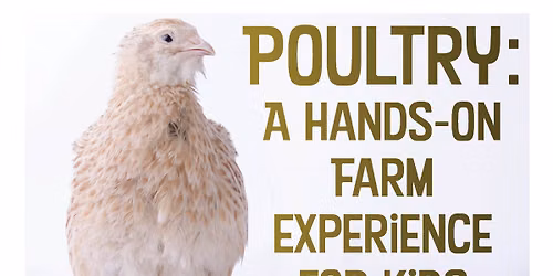 Poultry: A Hands-On Farm Experience for Kids